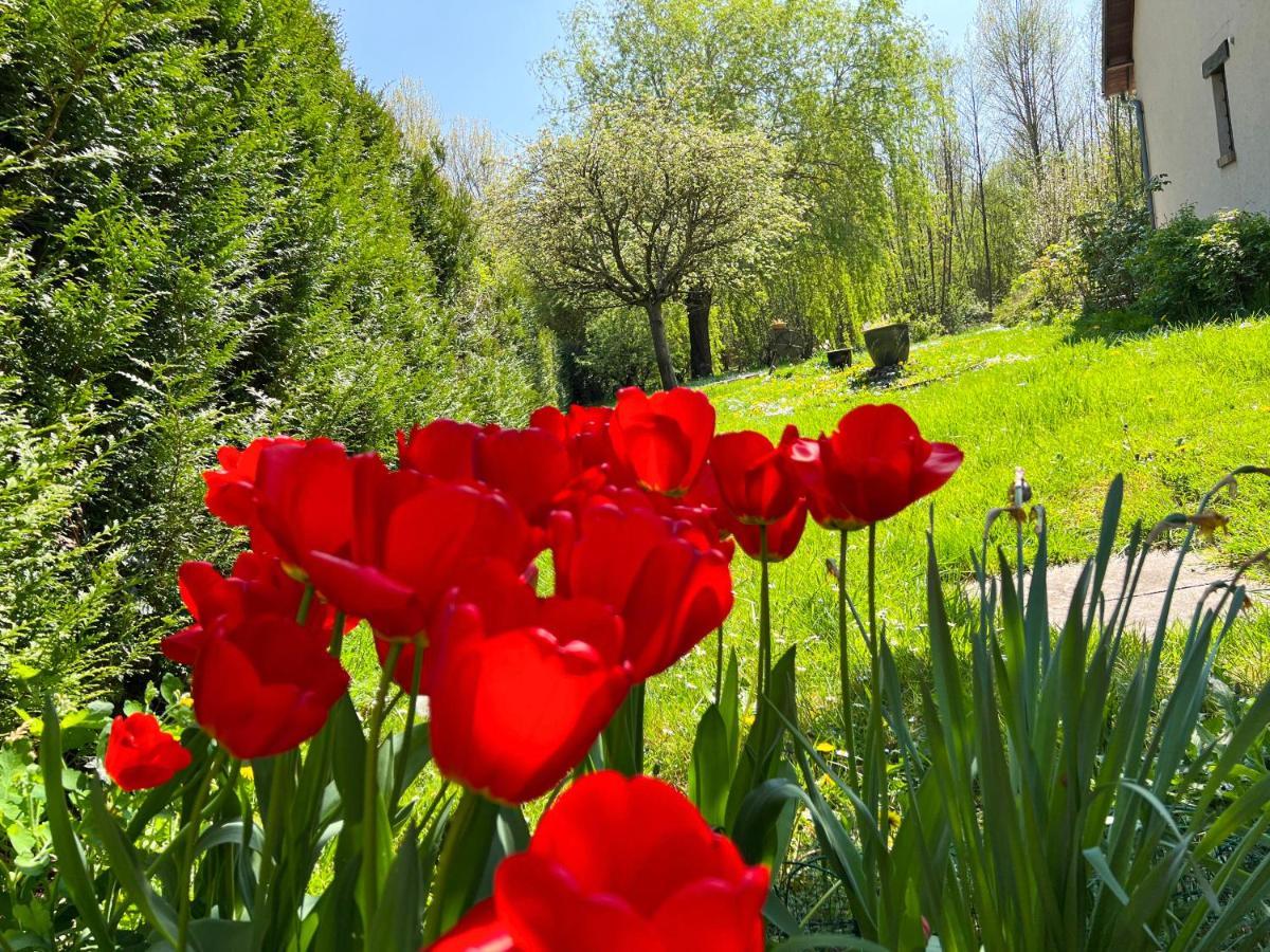 Gite De Vacances Jardin Monet Giverny Vernon Sainte-Genevieve-les-Gasny Экстерьер фото